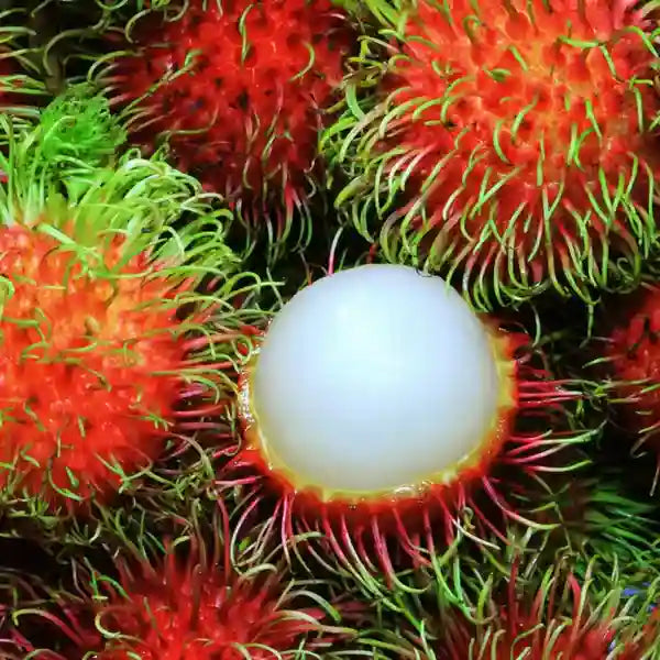 FRUITS