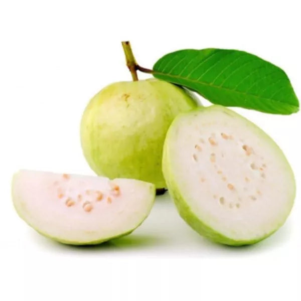 L49 Guava