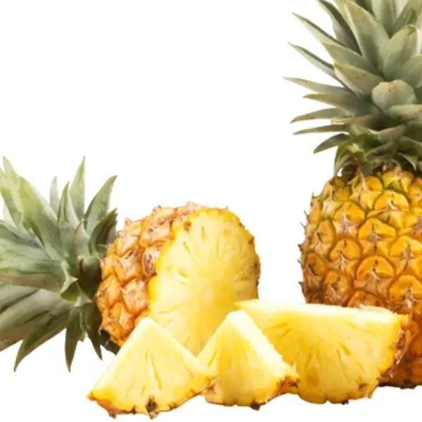 Pineapple Plant