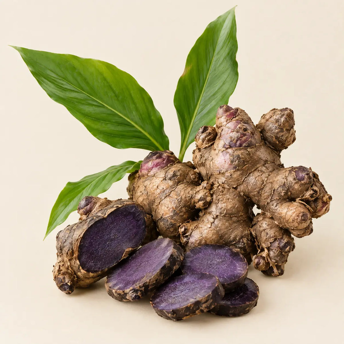 Black ginger, Kari manjal plant