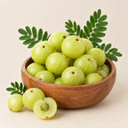 Gooseberry Plant