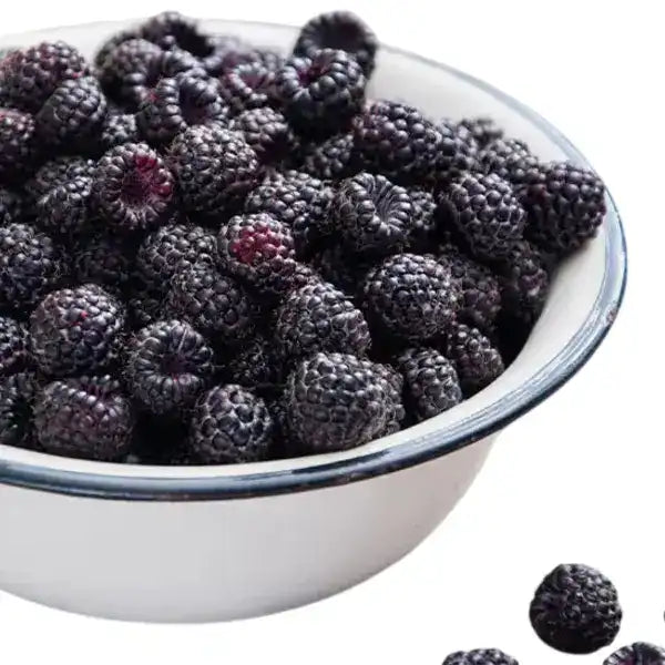 Blackberry Fruit plant