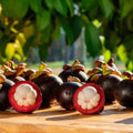 Mangosteen Fruit Plant