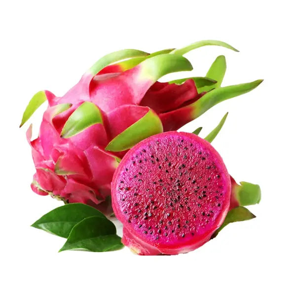Dragon Fruit Plant