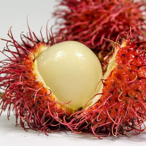Rambutan Fruit Plant